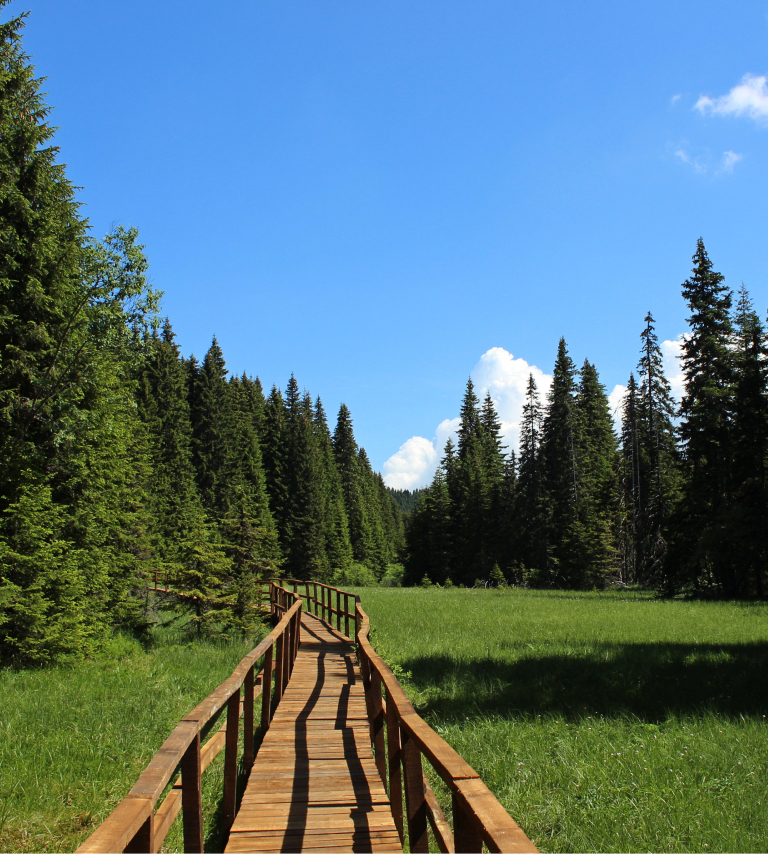 Kopaonik: Netaknuta priroda